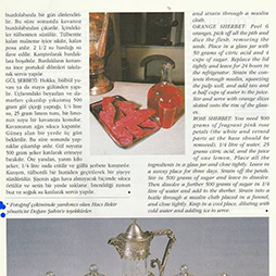 07.1994-Thy Skylife Sayı 7