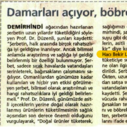 30.06.2008-Milli Gazete