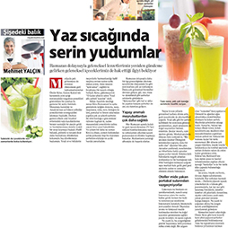 06.07.2014-Milliyet Pazar