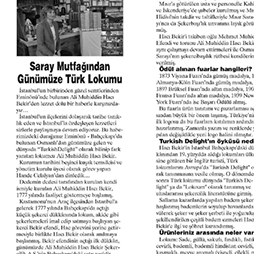 06.02.2015-Büyükçekmece